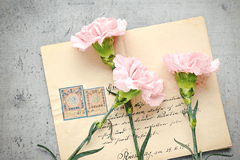 メールフォロー