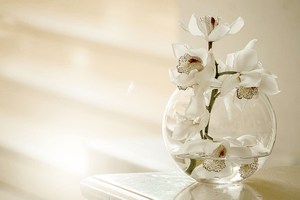 [片づけkankan(カンカン)」の由来