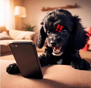 29.　そのひと言、大丈夫？ 〜ちょっとした一言のちから〜